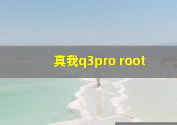 真我q3pro root